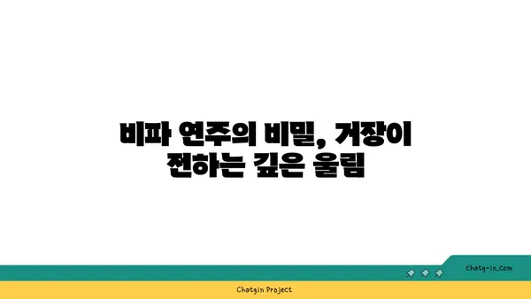 비파 거장의 지혜| 명인과의 대화 | 비파 연주, 음악, 인터뷰, 전통 악기, 명인의 조언