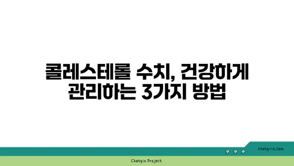 콜레스테롤 균형 찾기| 건강한 삶을 위한 3가지 핵심 원칙 | 건강, 콜레스테롤 관리, 식단, 운동