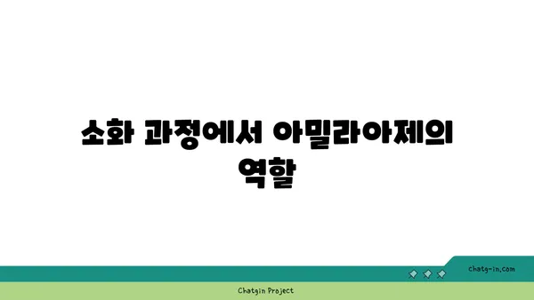 아밀라아제의 역할과 기능| 소화 과정에서의 중요성 | 소화 효소, 탄수화물 분해, 건강 팁