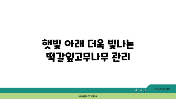 떡갈잎고무나무 키우기 완벽 가이드 | 잎, 물주기, 햇빛, 번식, 병충해, 분갈이, 관리 팁