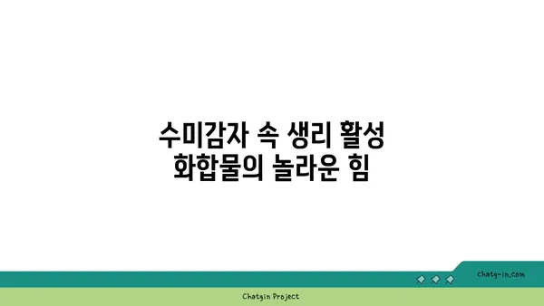 수미감자 속 생리 활성 화합물의 비밀| 건강 효능과 과학적 근거 | 수미감자, 건강, 효능, 기능성, 생리활성, 화합물