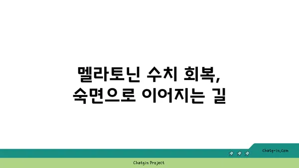 디지털 기기 사용이 멜라토닌에 미치는 영향 완화하기| 숙면을 위한 5가지 방법 | 멜라토닌, 디지털 디톡스, 수면 개선