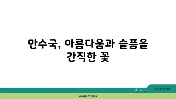 만수국 꽃말과 전설| 아름다움과 슬픔의 상징 | 꽃말, 전설, 의미, 기르기