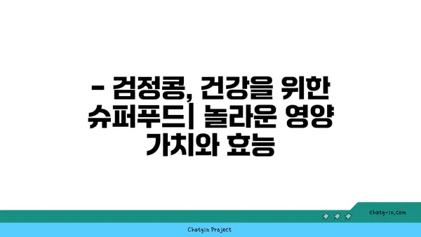 검정콩의 놀라운 영양 가치| 과학이 입증한 필수 비타민 & 미네랄 | 건강 식단, 콩의 효능, 영양 정보