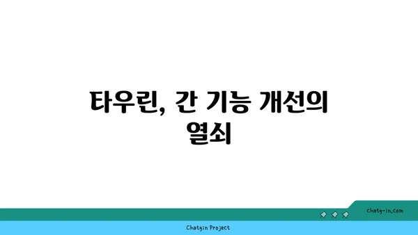 타우린, 간 건강 지킴이? 간 손상 예방 효과 알아보기 | 타우린, 간 기능, 건강 정보