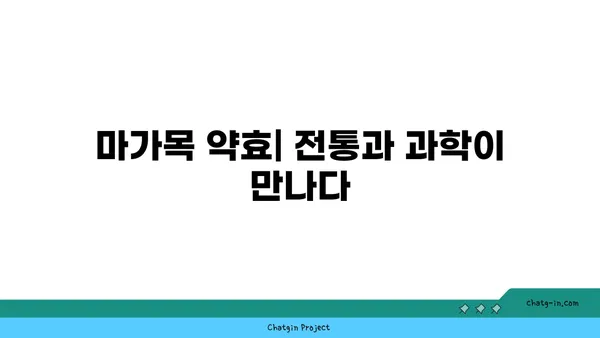 마가목 효능과 부작용 완벽 정리 | 건강, 약효, 주의사항, 차, 술, 효소