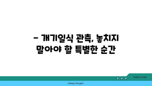 개기일식 관측 가이드| 완벽한 일식 경험을 위한 팁과 정보 | 천문 현상, 일식, 관측, 안전, 팁