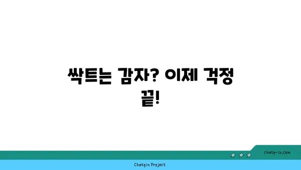 수미감자 오래 보관하는 최고의 방법| 싱싱함을 유지하는 꿀팁 | 수미감자 보관법, 감자 보관법, 오래 보관하는 방법