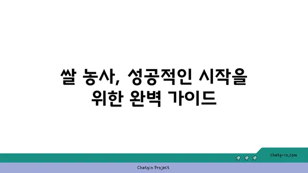 벼농사 성공의 지름길| 품종부터 수확까지 완벽 가이드 | 벼 재배, 벼 품종, 벼농사 기술, 쌀 농사