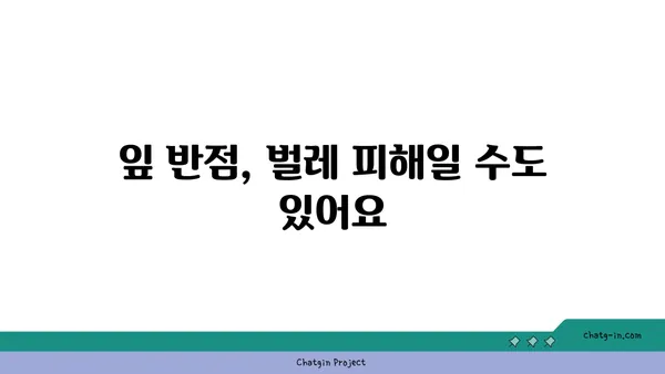 잎에 반점이 생기는 병, 종류별 원인과 해결 방법 | 식물 질병, 병해충, 치료