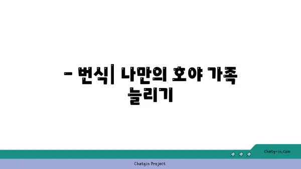 호야 키우기 완벽 가이드 | 호야 종류, 물주기, 햇빛, 번식, 병충해