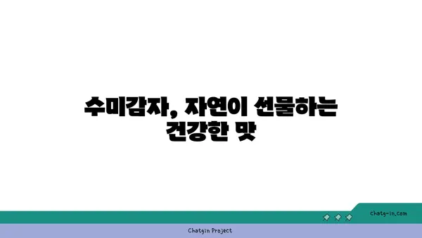 수미감자| 놀라운 영양과 다채로운 활용, 자연의 선물 | 수미감자 효능, 레시피, 재배 정보