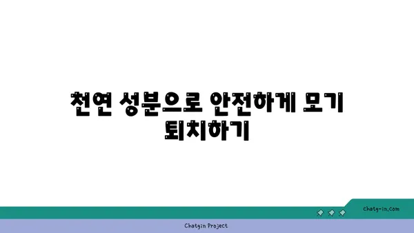 몸에 해롭지 않은 모기 퇴치법, 천연 & 안전하게 모기 쫓는 7가지 방법 | 모기 퇴치, 천연 모기 기피제, 안전한 모기 퇴치법