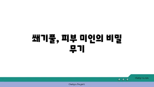 쐐기풀의 놀라운 효능과 활용법| 피부, 건강, 요리까지 | 쐐기풀 효능, 쐐기풀 활용법, 쐐기풀 차