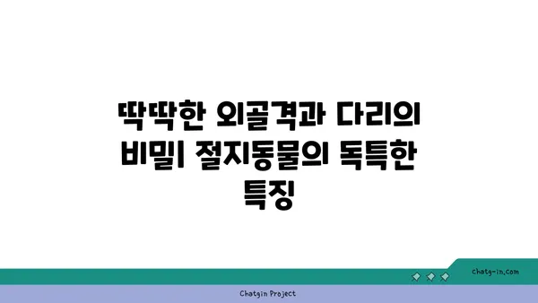 절지동물의 신비로운 세계| 다양한 종류와 특징 알아보기 | 절지동물, 곤충, 거미, 갑각류, 다지류