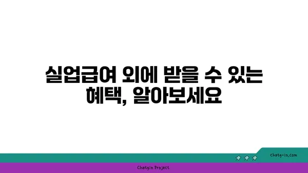 실업급여 받으면서 받을 수 있는 복지 혜택 총정리 | 실업급여, 복지, 혜택, 지원