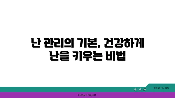 동양란의 매력에 빠지다| 종류별 특징과 관리법 완벽 가이드 | 동양란, 난초, 난 종류, 난 키우기, 난 관리