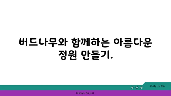 버드나무의 매력|  종류, 특징,  그리고  정원에  심는  방법 | 나무, 조경, 식물, 가드닝