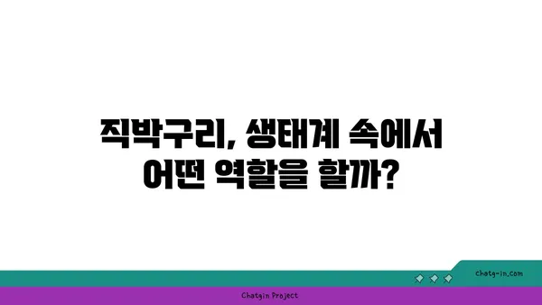 직박구리의 비밀 |  우리 동네 텃새, 직박구리에 대해 알아보자 | 직박구리, 텃새, 새 관찰, 생태