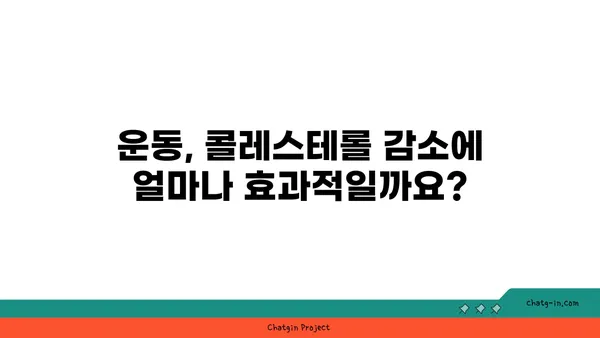 콜레스테롤 낮추는 3가지 실용적인 팁 | 건강, 식단, 운동, 고지혈증