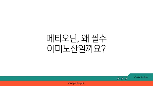 메티오닌의 모든 것| 필수 아미노산의 역할과 건강 효과 | 메티오닌, 필수 아미노산, 건강, 영양, 섭취