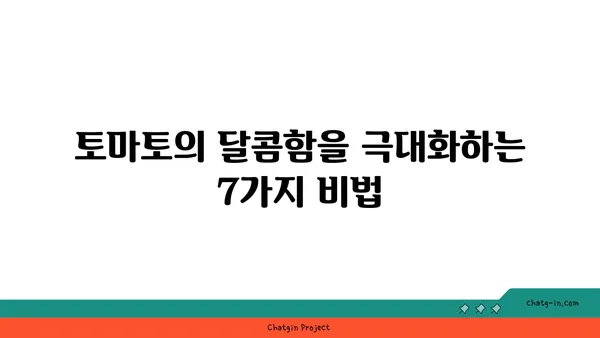 토마토를 더 맛있게 즐기는 7가지 팁 & 레시피 | 토마토 요리, 레시피, 요리팁