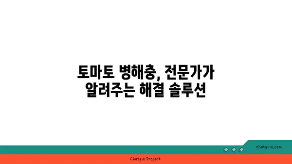 토마토 병충해 완벽 가이드| 흔한 질병과 해충, 그리고 관리 방법 | 토마토 재배, 병해충 방제, 건강한 토마토