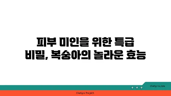 복숭아의 놀라운 효능과 영양 정보| 맛과 건강을 동시에 잡는 과일 | 복숭아 효능, 복숭아 영양, 복숭아 종류, 복숭아 섭취 팁