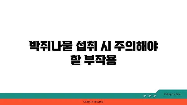 박쥐나물의 효능과 부작용| 섭취 전 꼭 알아야 할 정보 | 약초, 건강, 민간요법