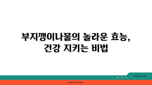 부지깽이나물 효능과 먹는 법 | 봄나물, 건강 레시피, 부지깽이나물 무침