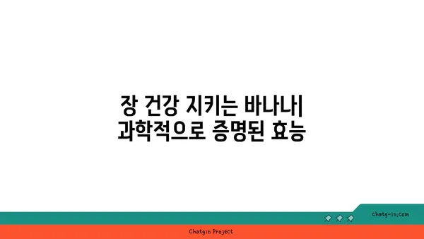 바나나, 식이섬유질 풍부한 이유| 건강한 장을 위한 과학적 근거 | 바나나 효능, 식이섬유, 소화 건강