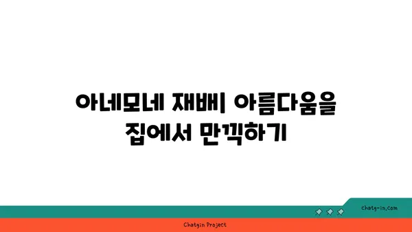 아네모네 꽃말과 전설| 사랑과 기쁨, 슬픔과 희망의 아름다운 상징 | 꽃말, 전설, 의미, 종류, 재배