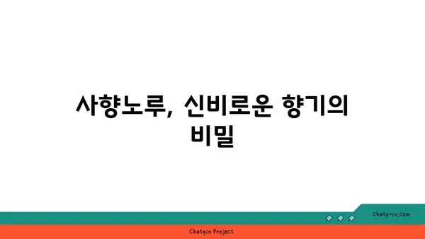 사향노루 사향의 모든 것| 특징, 효능, 그리고 윤리적 문제 | 사향, 사향노루, 천연 향료, 약재, 동물 복지