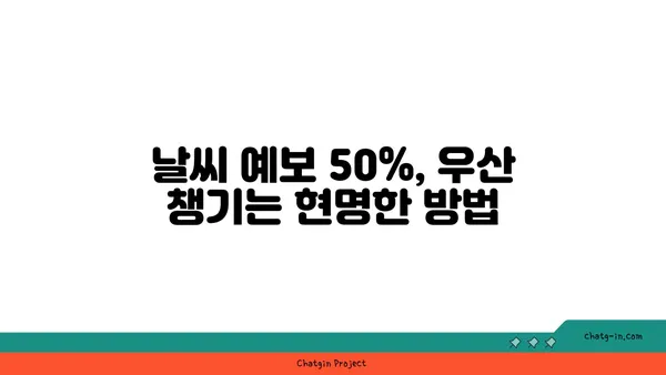 비가 올 확률 50%... 우산은 꼭 챙겨야 할까요? | 날씨, 우산, 비, 확률, 팁