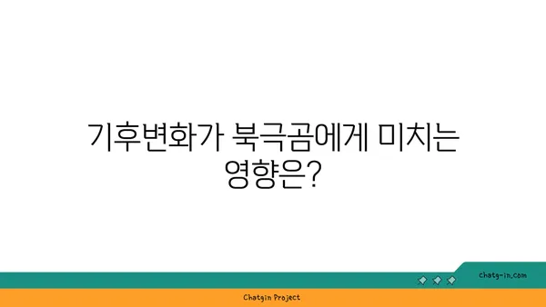 큰곰의 비밀| 북극곰 생존 전략 | 북극곰, 생존, 야생동물, 겨울잠