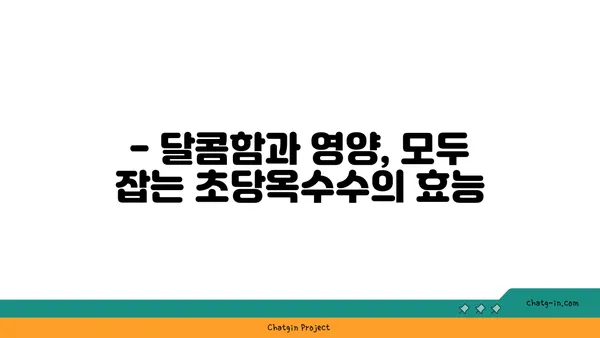 초당옥수수 씨앗| 다양한 품종과 풍부한 영양 가치 | 품종 비교, 재배 정보, 효능