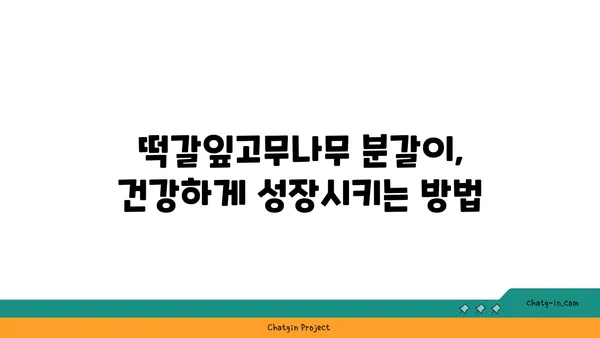 떡갈잎고무나무 키우기 완벽 가이드 | 잎, 물주기, 햇빛, 번식, 병충해, 분갈이, 관리 팁