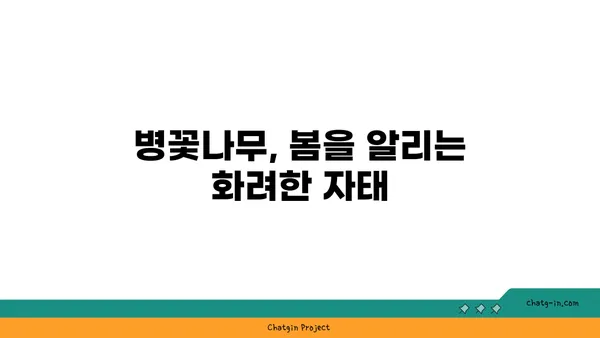 병꽃나무의 매력에 빠지다| 5가지 특징과 효능 | 병꽃나무, 꽃, 나무, 효능, 특징, 관상