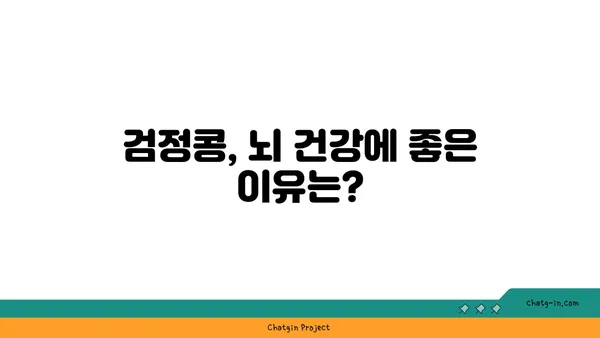 검정콩의 뇌 강화 효과| 과학적으로 입증된 인지 기능 향상 | 검정콩, 뇌 건강, 기억력, 집중력, 인지 능력 향상