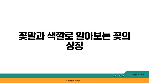 꽃말과 색깔로 알아보는 꽃의 상징 | 꽃의 의미, 꽃 선물, 꽃 색깔, 꽃말 해석