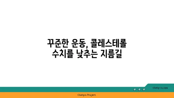 콜레스테롤 걱정 끝! 3가지 효과적인 해결 도구 | 건강, 고지혈증, 식단 관리, 운동