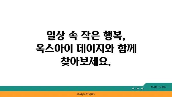 옥스아이 데이지와 함께하는 마음챙김 연습| 집중력 향상 & 스트레스 해소 | 명상, 자연, 심리, 집중력, 스트레스 관리