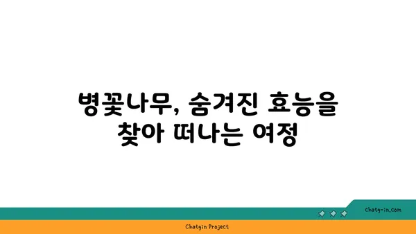 병꽃나무의 매력에 빠지다| 5가지 특징과 효능 | 병꽃나무, 꽃, 나무, 효능, 특징, 관상