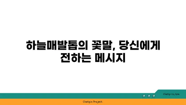 하늘매발톱의 매력적인 세계| 꽃말, 재배법, 그리고 전설 | 야생화, 식물, 정원, 꽃