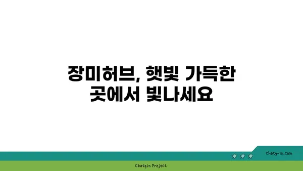 장미허브 키우기 완벽 가이드| 햇빛, 물주기, 번식까지 | 허브, 재배, 관리, 종류