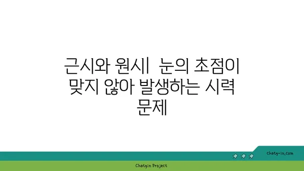 근시와 원시,  눈의 초점 문제 해결하기|  원인, 증상, 교정 방법 | 시력 교정, 안경, 렌즈, 라식, 라섹