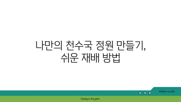 천수국 꽃말, 전설, 재배 방법까지! 아름다움 가득한 천수국 이야기 | 가을꽃, 국화과, 꽃말, 전설, 재배