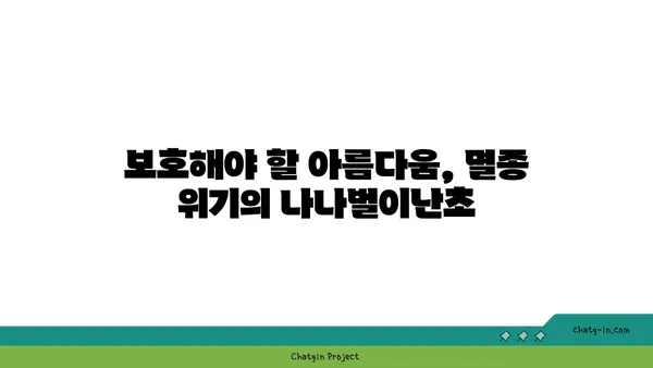 나나벌이난초의 매력에 빠지다| 아름다움과 특징을 만나보세요 | 희귀식물, 야생화, 자생지, 보호종, 식물 정보