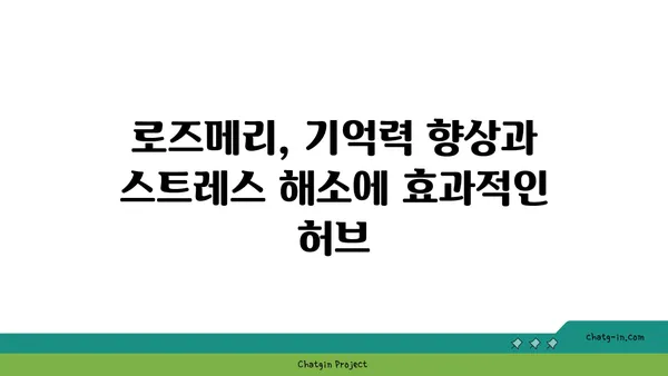 로즈메리 효능과 활용법| 10가지 놀라운 장점과 레시피 | 허브, 건강, 요리, 향신료