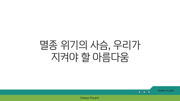 사슴의 비밀| 흥미로운 사슴 이야기와 놀라운 사실들 | 동물, 야생, 자연, 멸종 위기